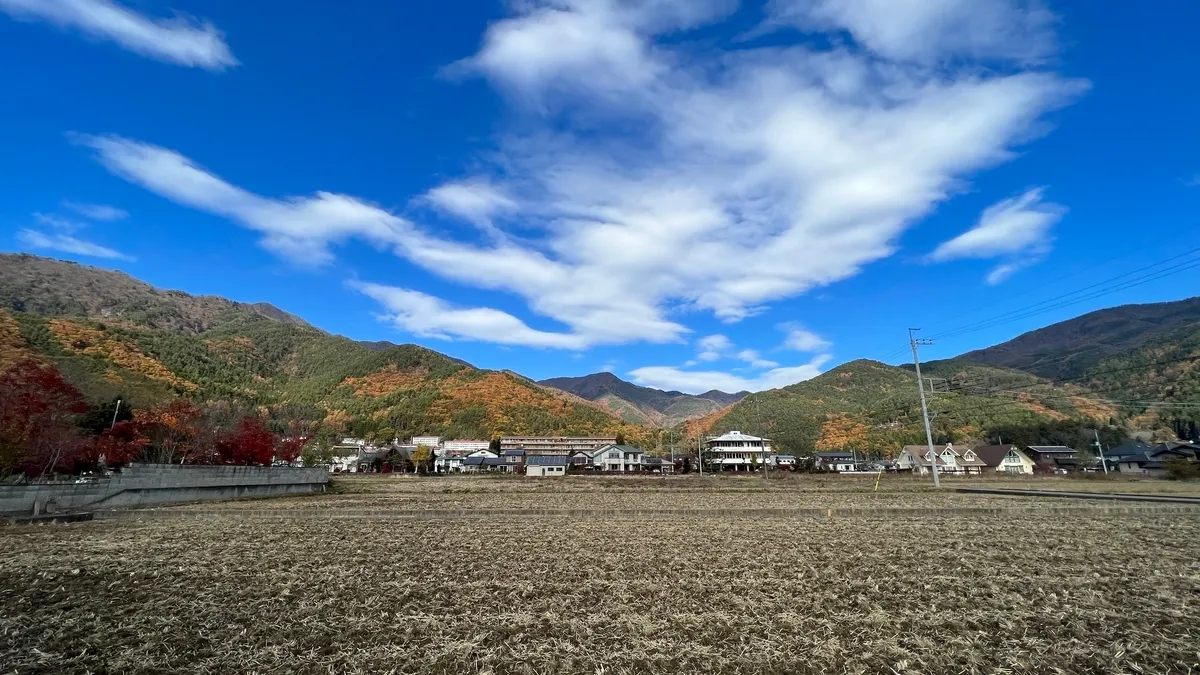 산비탈의 단풍