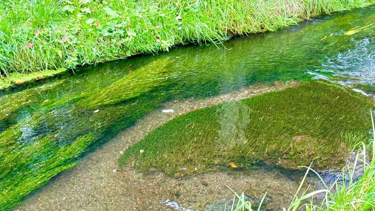 강바닥