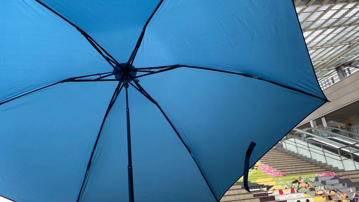 우산의 골조