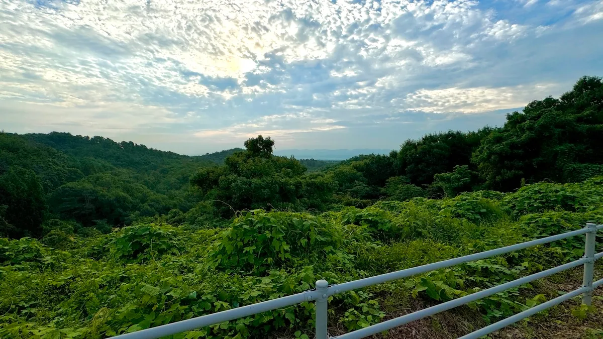 산에서의 전망