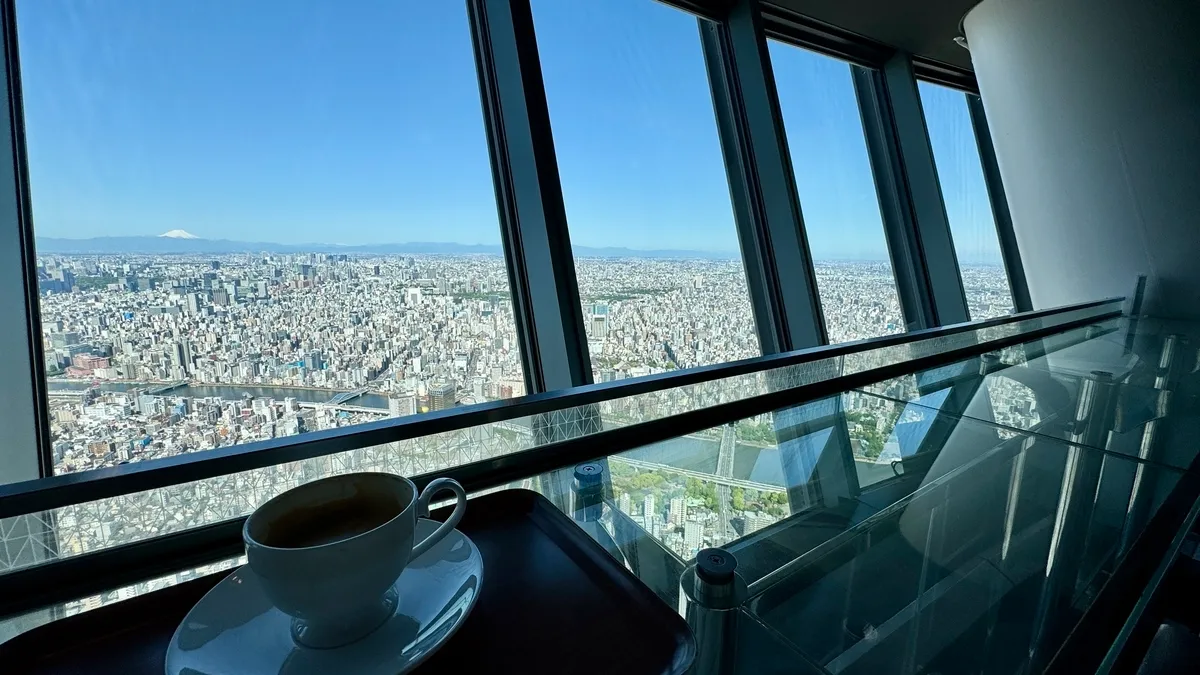 파노라마 뷰