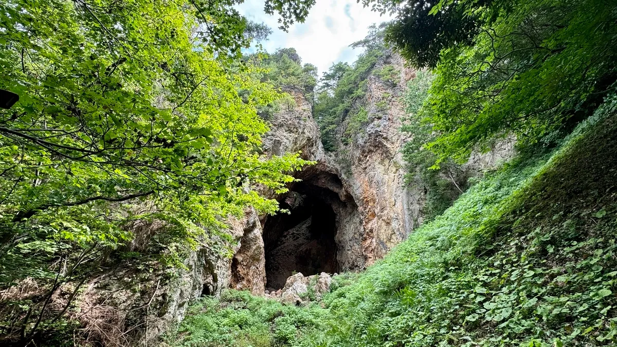 도유노 와리토