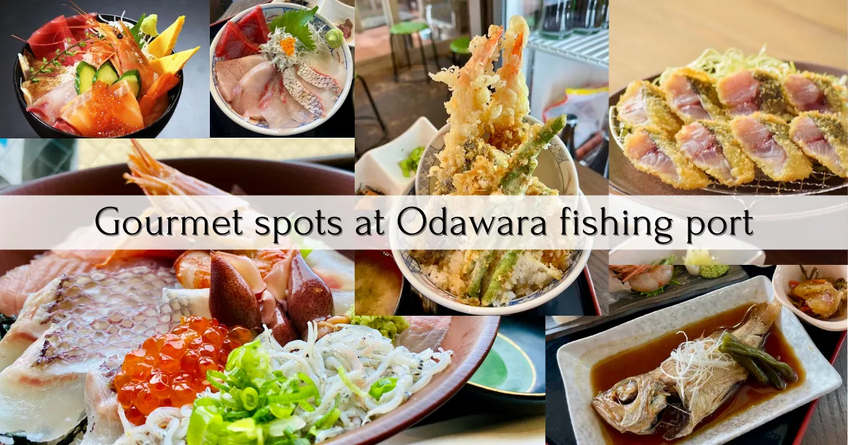 오다와라 어항 음식점 정리: 도보 5분! 일본에서 가장 역에서 가까운 어항에서 해물을 만끽하자!