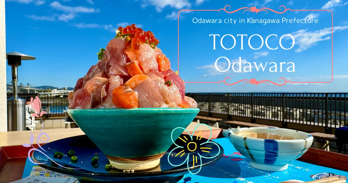 TOTOCO 오다와라: 오다와라에서 신선한 해산물을 즐길 수 있는 초인기 명소