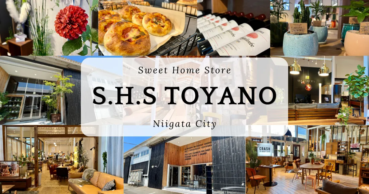S.H.S Toyano: 니가타에서 화제의 가구·인테리어 숍. 종합적인 공간 디자인이 훌륭합니다.
